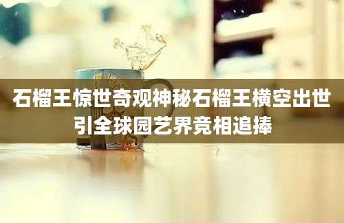 石榴王惊世奇观神秘石榴王横空出世引全球园艺界竞相追捧