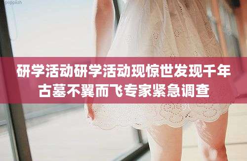 研学活动研学活动现惊世发现千年古墓不翼而飞专家紧急调查