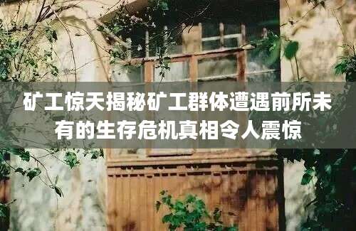矿工惊天揭秘矿工群体遭遇前所未有的生存危机真相令人震惊