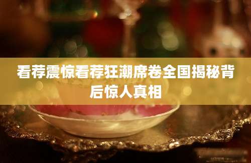 看荐震惊看荐狂潮席卷全国揭秘背后惊人真相