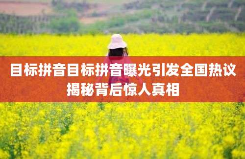 目标拼音目标拼音曝光引发全国热议揭秘背后惊人真相