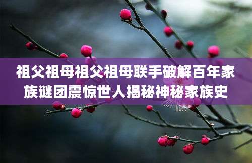 祖父祖母祖父祖母联手破解百年家族谜团震惊世人揭秘神秘家族史