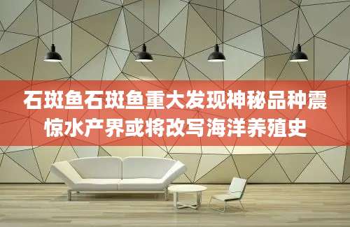 石斑鱼石斑鱼重大发现神秘品种震惊水产界或将改写海洋养殖史