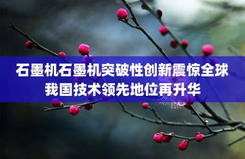 石墨机石墨机突破性创新震惊全球我国技术领先地位再升华