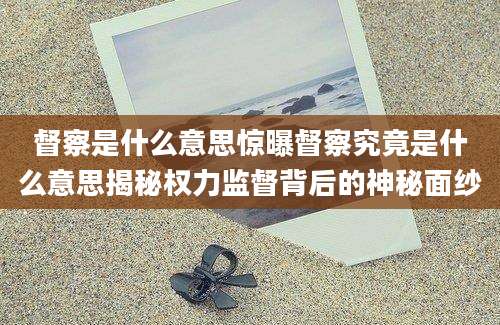 督察是什么意思惊曝督察究竟是什么意思揭秘权力监督背后的神秘面纱