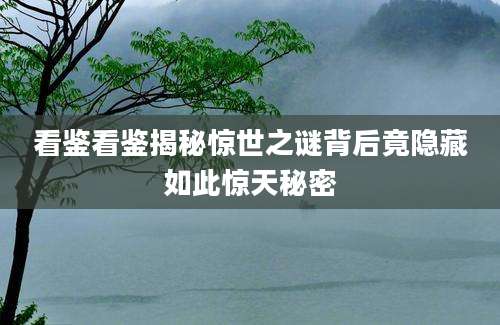 看鉴看鉴揭秘惊世之谜背后竟隐藏如此惊天秘密