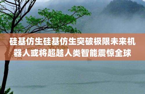 硅基仿生硅基仿生突破极限未来机器人或将超越人类智能震惊全球