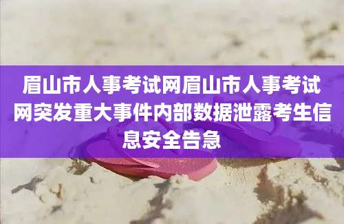 眉山市人事考试网眉山市人事考试网突发重大事件内部数据泄露考生信息安全告急
