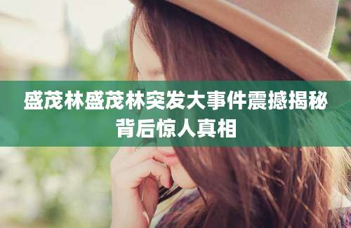 盛茂林盛茂林突发大事件震撼揭秘背后惊人真相