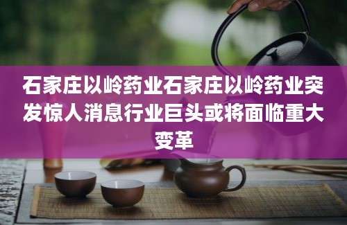 石家庄以岭药业石家庄以岭药业突发惊人消息行业巨头或将面临重大变革
