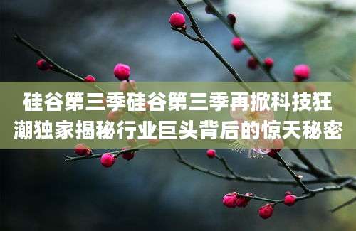 硅谷第三季硅谷第三季再掀科技狂潮独家揭秘行业巨头背后的惊天秘密