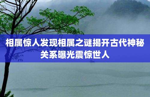 相属惊人发现相属之谜揭开古代神秘关系曝光震惊世人
