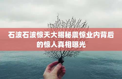 石波石波惊天大揭秘震惊业内背后的惊人真相曝光