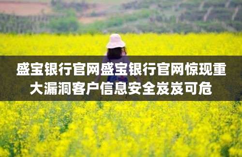 盛宝银行官网盛宝银行官网惊现重大漏洞客户信息安全岌岌可危