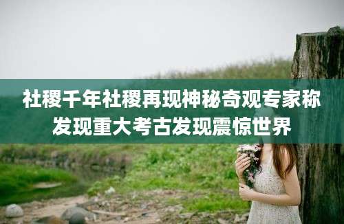 社稷千年社稷再现神秘奇观专家称发现重大考古发现震惊世界