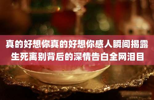 真的好想你真的好想你感人瞬间揭露生死离别背后的深情告白全网泪目