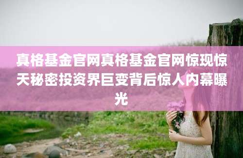 真格基金官网真格基金官网惊现惊天秘密投资界巨变背后惊人内幕曝光