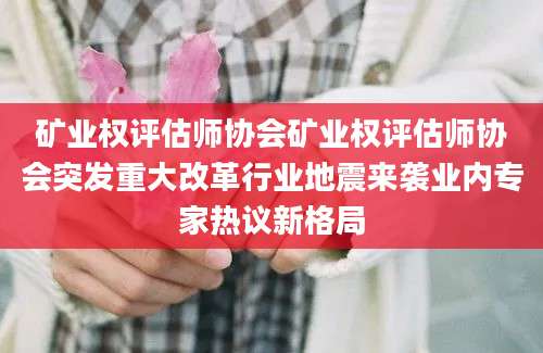 矿业权评估师协会矿业权评估师协会突发重大改革行业地震来袭业内专家热议新格局