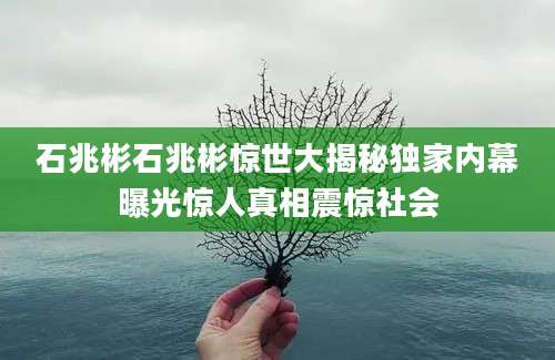 石兆彬石兆彬惊世大揭秘独家内幕曝光惊人真相震惊社会