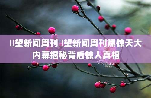 瞭望新闻周刊瞭望新闻周刊爆惊天大内幕揭秘背后惊人真相