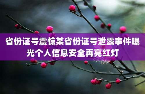 省份证号震惊某省份证号泄露事件曝光个人信息安全再亮红灯