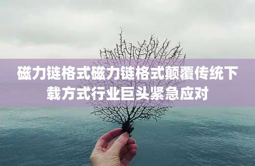 磁力链格式磁力链格式颠覆传统下载方式行业巨头紧急应对