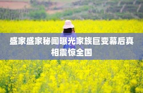 盛家盛家秘闻曝光家族巨变幕后真相震惊全国