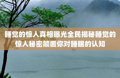 睡觉的惊人真相曝光全民揭秘睡觉的惊人秘密颠覆你对睡眠的认知