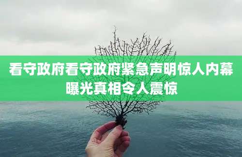 看守政府看守政府紧急声明惊人内幕曝光真相令人震惊