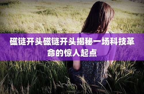 磁链开头磁链开头揭秘一场科技革命的惊人起点