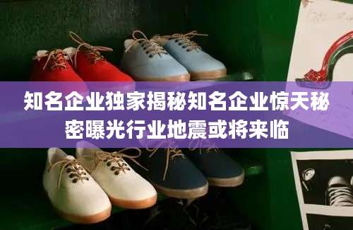知名企业独家揭秘知名企业惊天秘密曝光行业地震或将来临