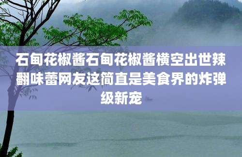 石甸花椒酱石甸花椒酱横空出世辣翻味蕾网友这简直是美食界的炸弹级新宠