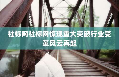社标网社标网惊现重大突破行业变革风云再起
