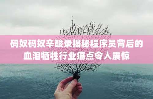 码奴码奴辛酸录揭秘程序员背后的血泪牺牲行业痛点令人震惊