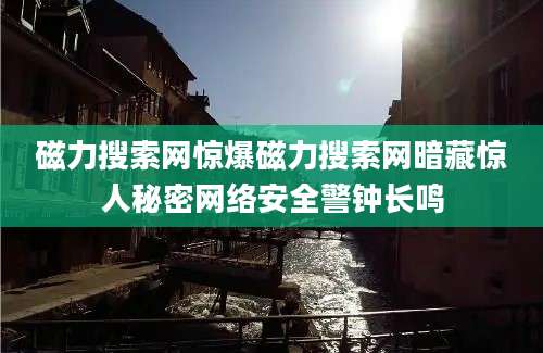 磁力搜索网惊爆磁力搜索网暗藏惊人秘密网络安全警钟长鸣