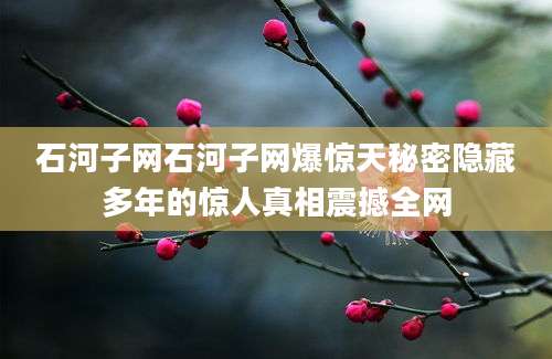 石河子网石河子网爆惊天秘密隐藏多年的惊人真相震撼全网